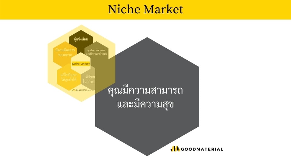 คุณเป็นมืออาชีพในสายงาน Niche-Market