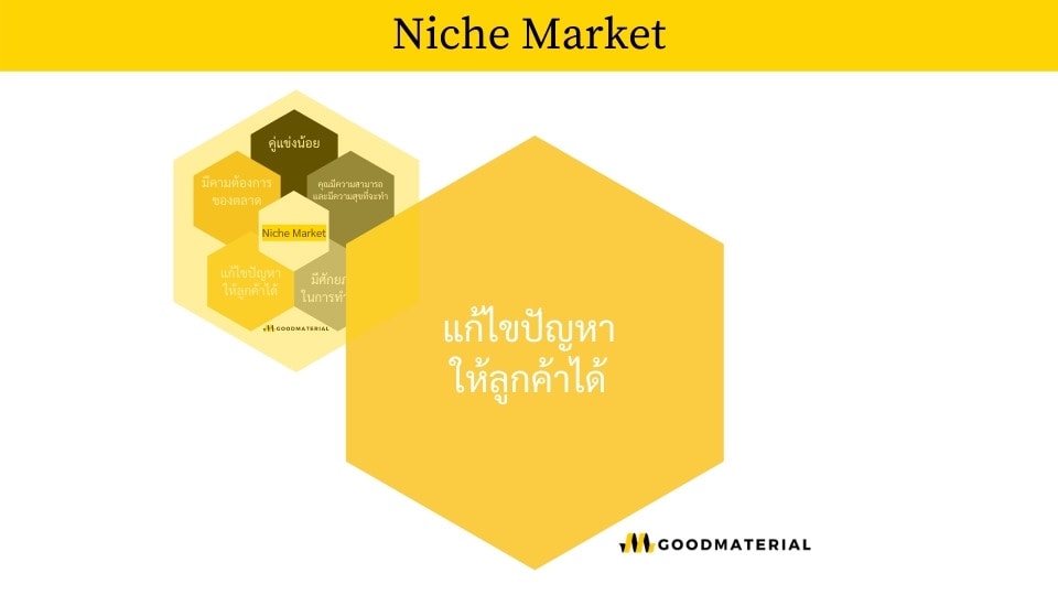 แก้ปัญหาให้ลูกค้าได้หรือไม่ Niche-Market