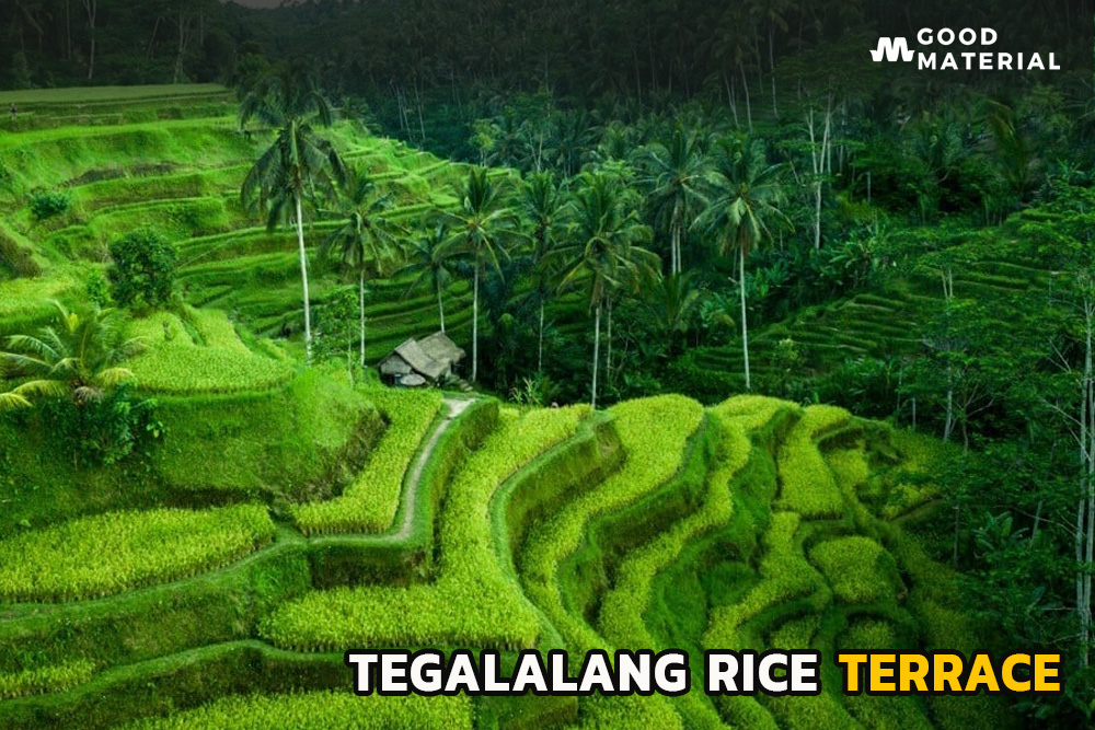 Tegalalang Rice Terrace